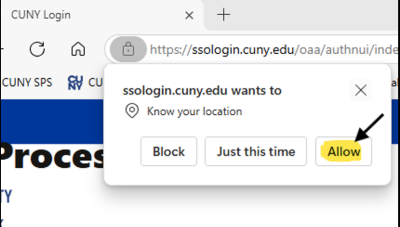 Select the allow option if prompted by your web browser